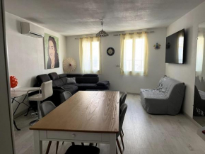bel appartement climatisé centre